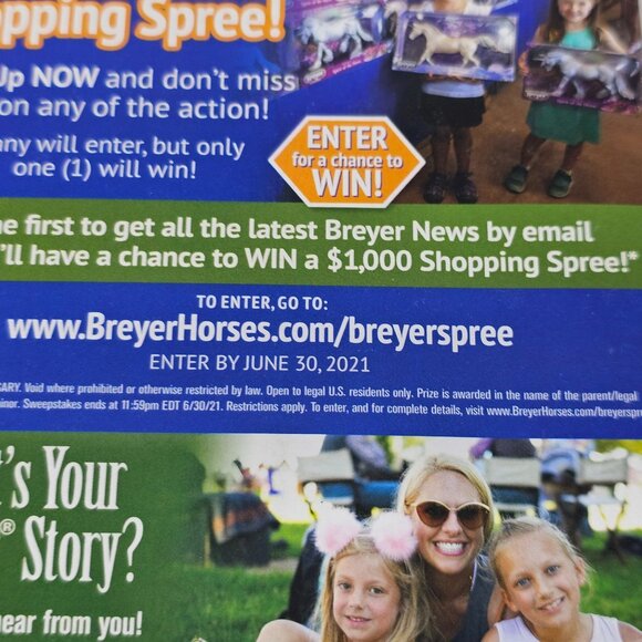 Breyer Horses Scene Catalog Collector's Manual Model Horse 2020 Friesian - Picture 5 of 8